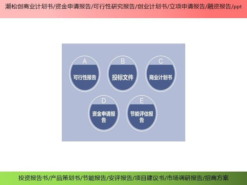 滄州市項目招投標書產業規劃ppt資金申請報告ppt投資亮點