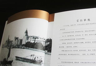 金融投資公司畫冊設計 金融投資畫冊設計 金融投資品牌設計 金融投資vi設計